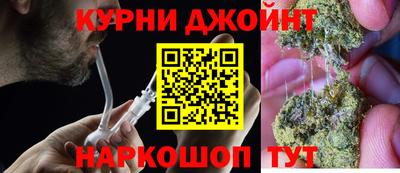 сатива Кингисепп