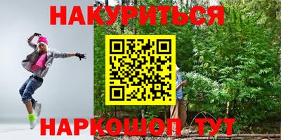 сатива Кингисепп